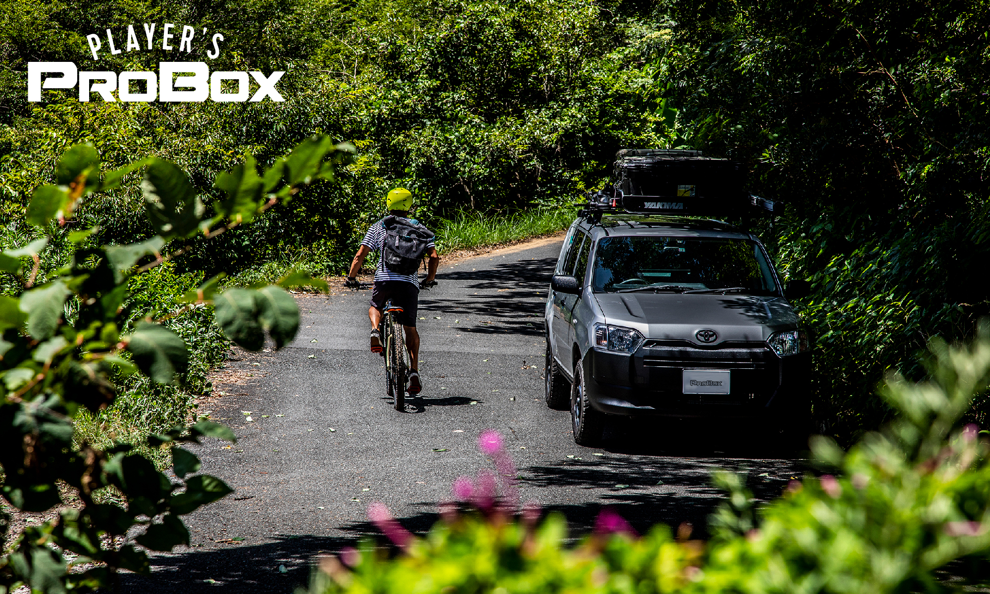 PROBOX_BYCYClE_IMAGE